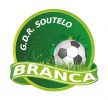 Grupo Desportivo e Recreativo de Soutelo